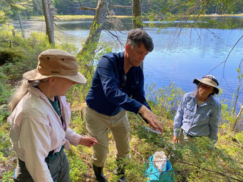 (Left to right) Maine Forest Service Entomologist Colleen Teerling, Coastal Rivers Conservation Trust Executive Director Steven Hufnagel and Coastal Rivers Director of Land Conservation Joan Ray attach a biocontrol nest to infested eastern hemlock at the Half Moon Pond Conservation Area in Bristol. (Photo courtesy Coastal Rivers Conservation Trust)
